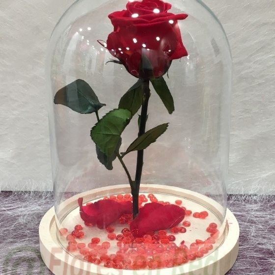 Rosas Eternas, Bella y Bestia. Rosa Preservada | Floristería Vitoria