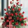Centro Funerario de 30 Rosas