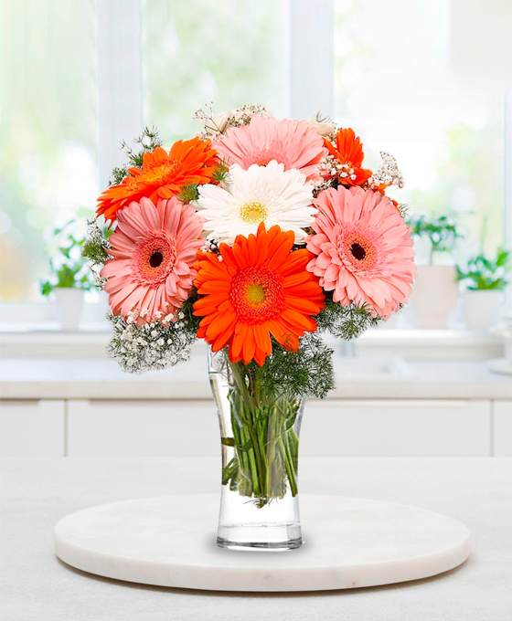 Ramo de Gerberas Variadas